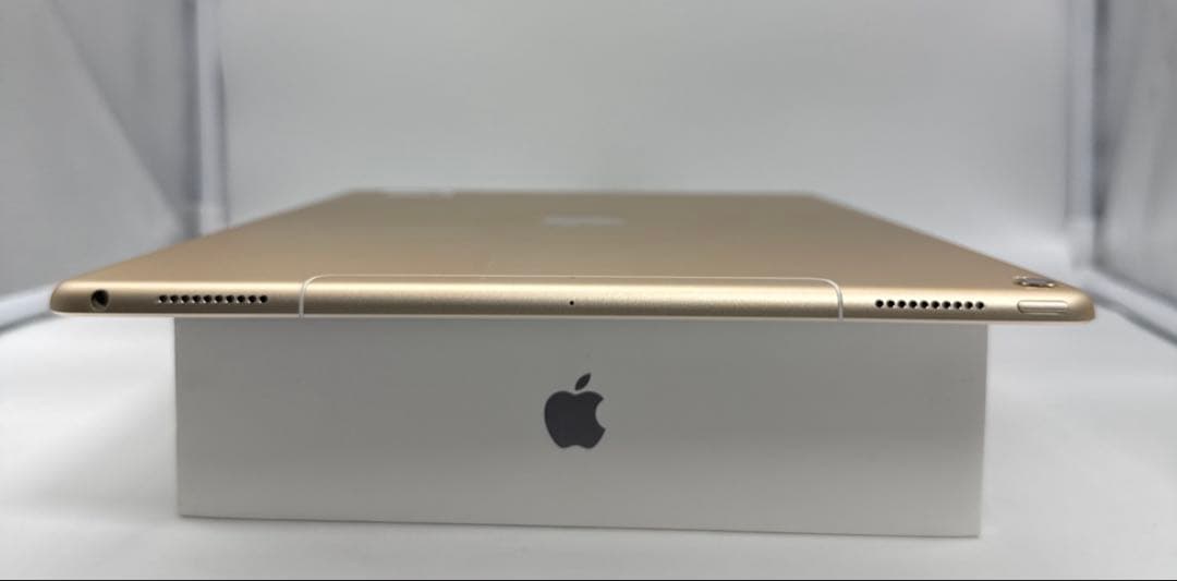 【本日発送】✨シーズー✨ iPad Pro 12.9インチ 第２世代